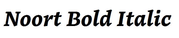 Noort Bold Italic