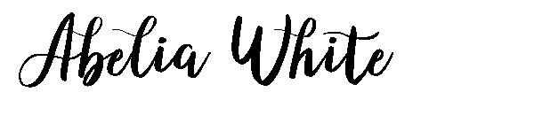 Abelia White字体