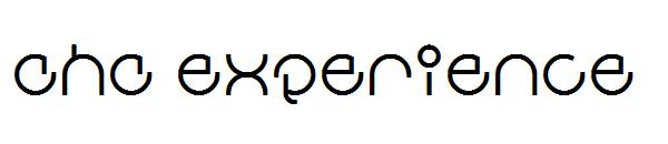 aha experience字体