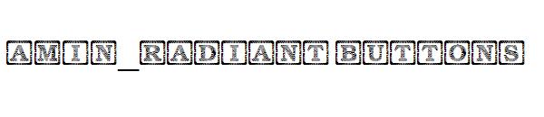 Amin_Radiant Buttons字体