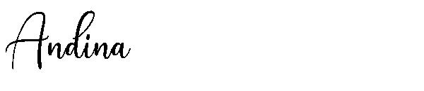Andina字体