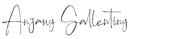 Anjany Sallentiny字体