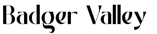 Badger Valley字体