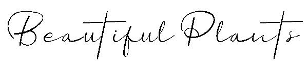 Beautiful Plants字体