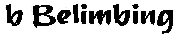 b Belimbing字体