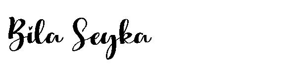 Bila Seyka字体