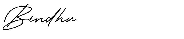 Bindhu字体