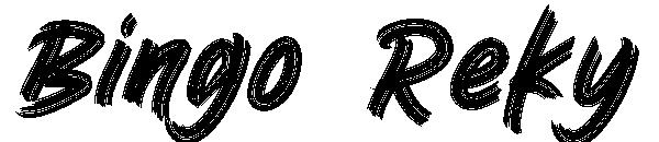 Bingo Reky字体