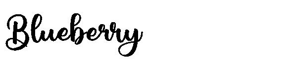 Blueberry字体