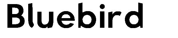 Bluebird字体