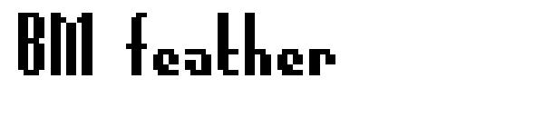 BM feather字体