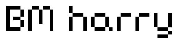 BM harry字体