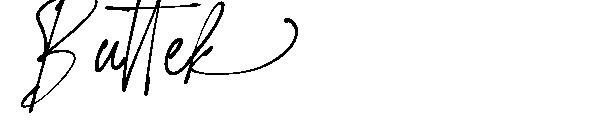 Buttek字体