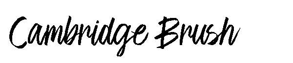 Cambridge Brush字体