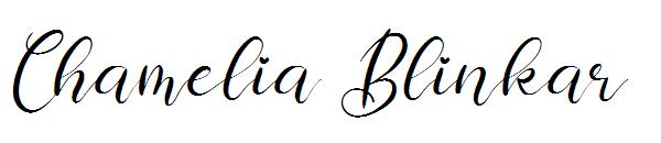 Chamelia Blinkar字体