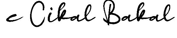 c Cikal Bakal字体