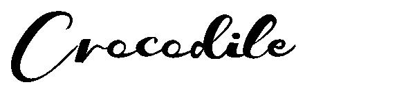 Crocodile字体