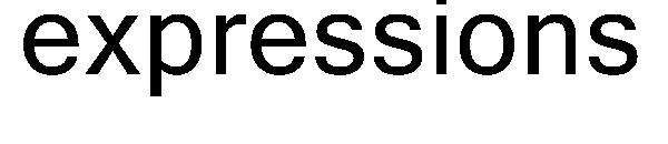 expressions字体