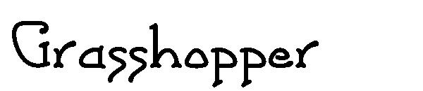 Grasshopper字体