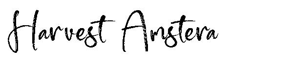 Harvest Amstera字体