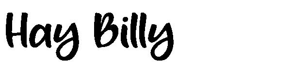 Hay Billy字体