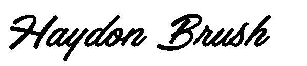 Haydon Brush字体