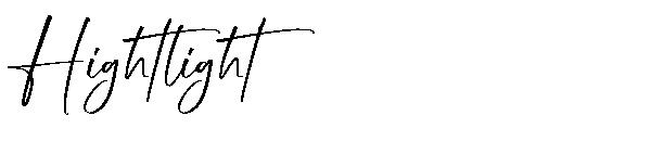Hightlight字体
