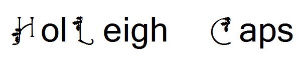 HolLeigh Caps字体