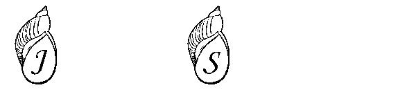 Jenna's Shells字体