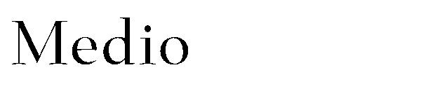 Medio字体