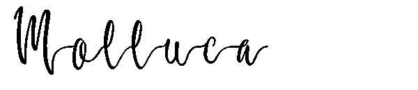 Molluca字体