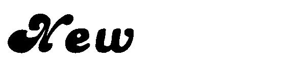 New字体