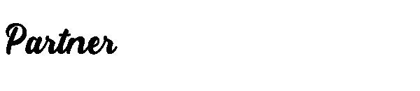 Partner字体