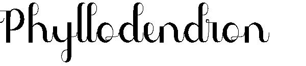 Phyllodendron字体