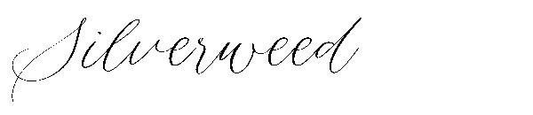 Silverweed字体