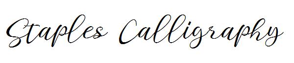 Staples Calligraphy字体