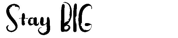 Stay BIG字体