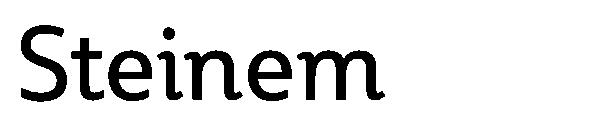 Steinem字体