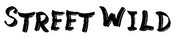 Street Wild字体