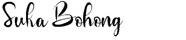 Suka Bohong字体