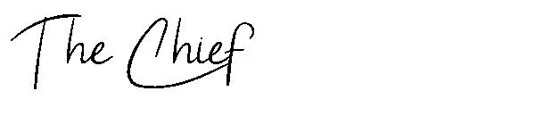 The Chief字体