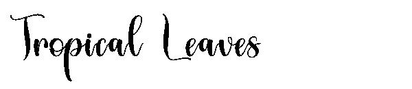 Tropical Leaves字体