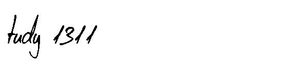 tudy 1311字体