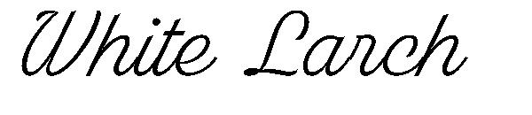 White Larch字体
