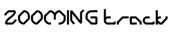 ZOOMING track字体