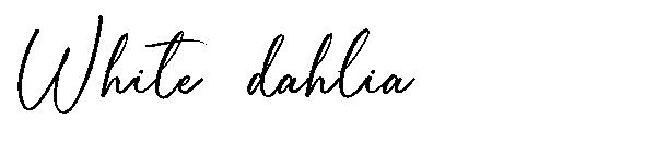 White dahlia字体