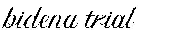 Bidena trial字体