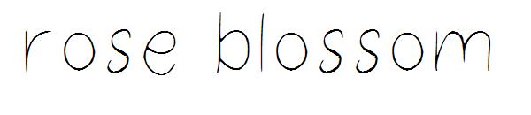 rose blossom