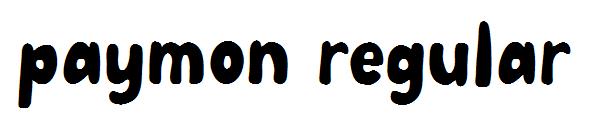 paymon regular字体