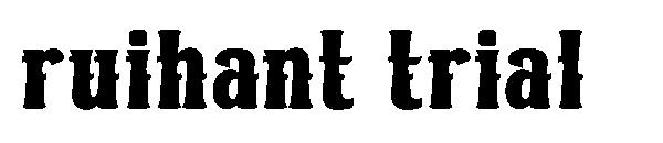 ruihant trial字体